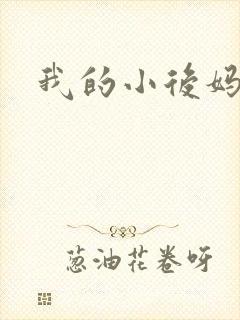 我的小后妈小说