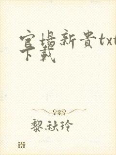 官场新贵txt下载