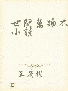 世间万物不及你小说