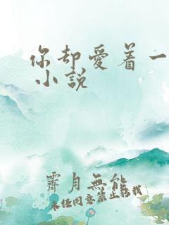 你却爱着一个他 小说