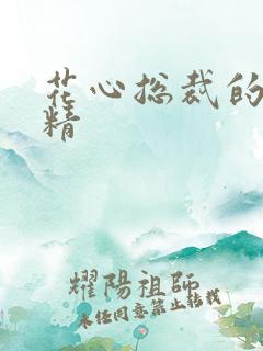 花心总裁的小妖精