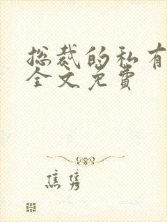 总裁的私有宝贝全文免费