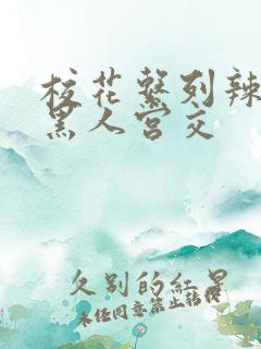 校花系列辣h文黑人宫交