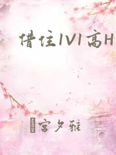 借住1V1高H