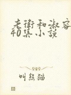 老卫和淑容1-40集小说