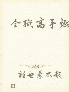 全职高手燃文