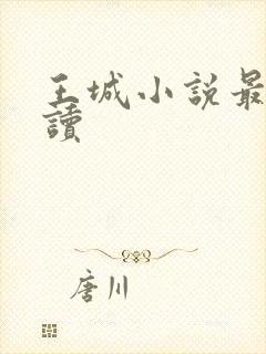 王城小说最近阅读