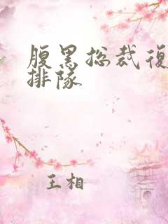 腹黑总裁复婚请排队