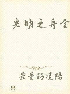 光明之舟金手指