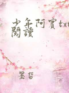 少年阿宾txt阅读