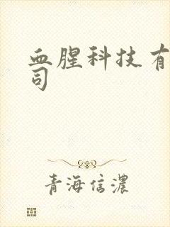 血腥科技有限公司