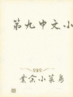 第九中文小说网