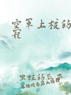 空军上校的邪魅宠