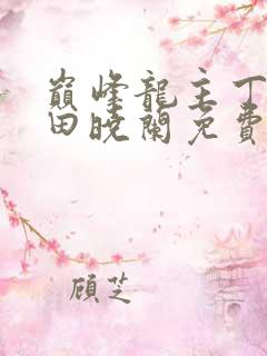 巅峰龙主丁长顺田晓兰免费阅读