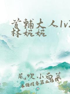 首辅大人1v2林婉婉