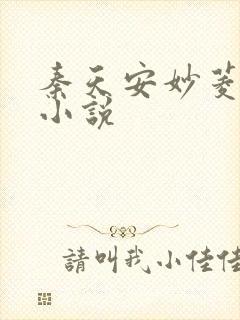 秦天安妙菱修仙小说