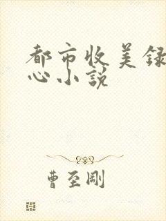 都市收美录宁素心小说