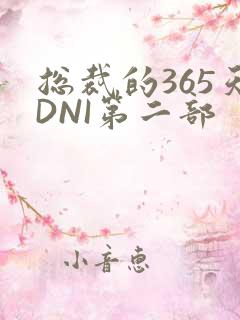 总裁的365天DNI第二部