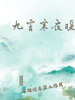 九霄寒夜暖小说