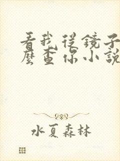 看我从镜子里怎么查你小说