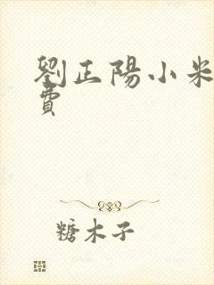 刘正阳小米多免费