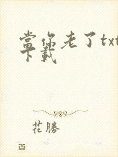 当你老了txt下载
