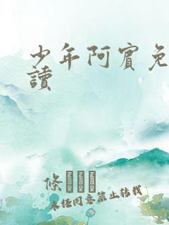 少年阿宾免费阅读