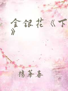 金银花《下厨房》