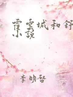 霍云城和舒情的小说