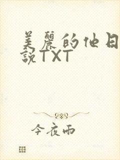 美丽的他日剧小说TXT