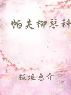 帕夫柳琴科二世