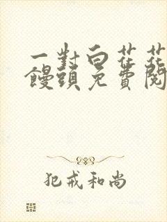 一对白花花的大馒头免费阅读