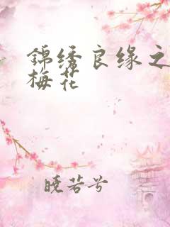 锦绣良缘之驿寄梅花