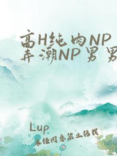 高H纯肉NP 弄潮NP男男