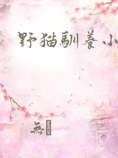 野猫驯养小说