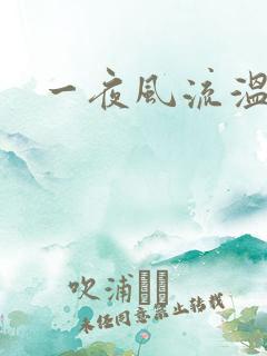 一夜风流温暮生