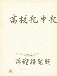 高校龙中龙全集