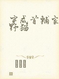 穿成首辅家的小野猫