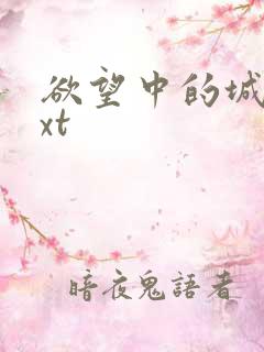 欲望中的城市txt