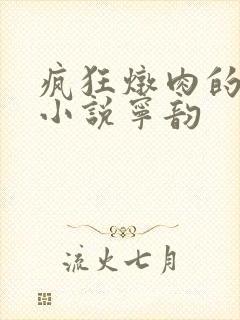 疯狂炖肉的全部小说宁韵