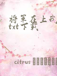 将军在上我在下txt下载