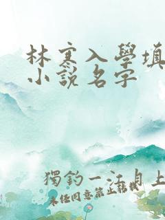 林寒入学填未婚小说名字