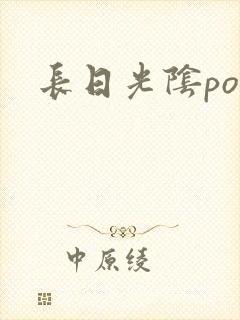长日光阴po