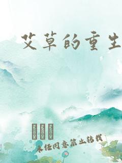 艾草的重生之路