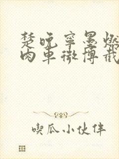 楚晚宁墨燃所有肉车微博截图