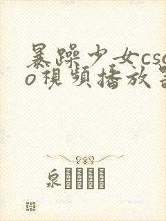 暴躁少女csgo视频播放器推荐