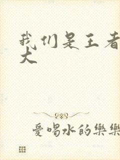 我们是王者立海大