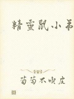 精灵鼠小弟下载