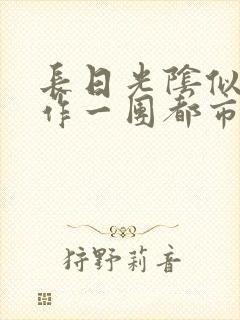 长日光阴似箭乱作一团都市言情