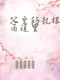 父皇的龙根在我甬道里